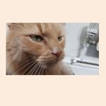 Timothy pickles - @timothy_pickles76 - Instagram
