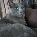 Timothy Pickles - @timothy_pic - Instagram