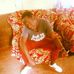 Timothy Pirois - Facebook