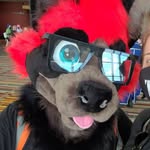 Timothy Plummer - @laplumm - Instagram