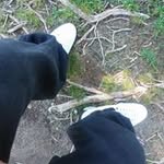 TimothyPosey - @timothypose - Instagram