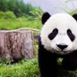Timothy Pridemore - @toxxic555 - Instagram