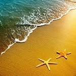 Timothy Prindle - @taprindle - Instagram