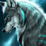 Timothy pryor - @timothy3410 - Instagram
