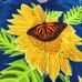 Timothy Putney - Facebook