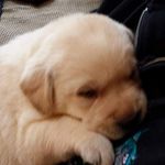 Timothy Putney - @friendsofragnar2 - Instagram