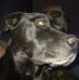 Timothy Rafferty - Facebook