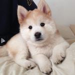 Timothy Reece - @timothyreece111 - Instagram
