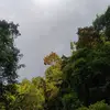 REEL TIMOTHY - @reel.timothy - TikTok