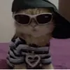 timothyreels1462 - @abcdef_.734 - TikTok