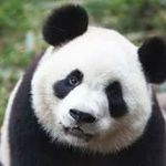 Timothy Renfroe - @timothy.renfroe - Instagram