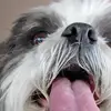 timothyrenfrow530 - @timothyrenfrow530 - TikTok