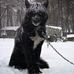 Timothy Rettig - Facebook