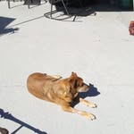 Timothy Ricks - @tim.ricks625 - Instagram