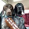 Tim Riggins - @tim.riggins - TikTok