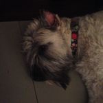 Tim - @timothy_theodore_riggins - Instagram