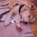 Timothy Martin McFly Rigg(in)s - @imherewheresriggs - Instagram