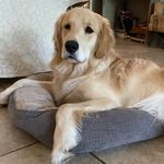 Timothy Riggins - @riggins_spring33 - Instagram