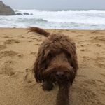 timothy riggins coyne - @rigginscoyne - Instagram