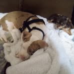 Timothy Ringwald - Facebook