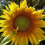 Timothy Ristow - @timothyristow - Instagram