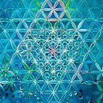 Timothy Ristow - @ristowtimothy - Instagram