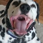 Timothy Rizzo - @rizzotj - Instagram