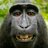 English or Spanish? - @timothyroa - TikTok