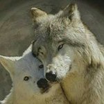Timothy Roach - @timothy.roach.73 - Instagram