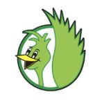Timothy Road Elementary - @timothyroadrunners - Instagram
