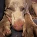 Timothy Robb - Facebook