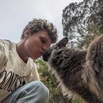 Timothy Roe - @timothy_w_roe - Instagram