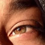Timothy Rohan de Alwis - @timothyrohandealwiswijesekera - Instagram