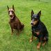 Tim Ronning - Facebook