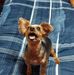 Tim Roush - Facebook