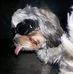 Timothy Royce Lanuza - Facebook