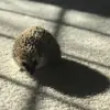 timothyruffner - @timothyruffner - TikTok