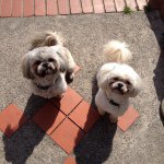 Timothy And Rupert - @timothy_rupert - Instagram