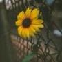 Timothy_saltzman - @timothy_saltzman - TikTok