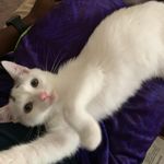 Timothy Samson - @tim.samson18 - Instagram
