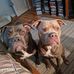 Timothy Sandoval - Facebook