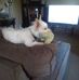 Timothy Sandoval - Facebook