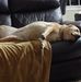 Tim Saville - Facebook