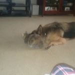 Timothy Saville - @savilletimothy - Instagram