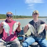 Timothy Schaefer - @timothyschaefer499 - Instagram