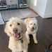 Timothy Steller - Facebook