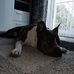 timothy scherer - Facebook