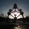 Timothy scherer - @timothyscherer - TikTok