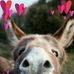 Tim Schreck - Facebook