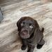 Tim Scribner - Facebook